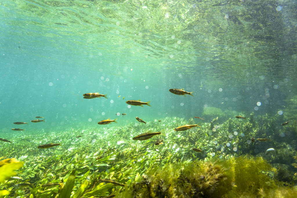 Le Vaucluse, une terre d’eau